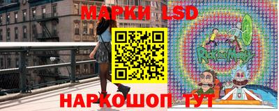шишки Кингисепп