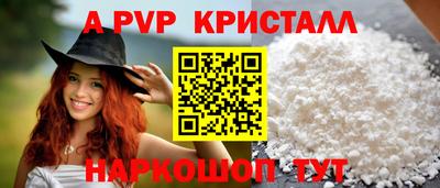 шишки Кингисепп