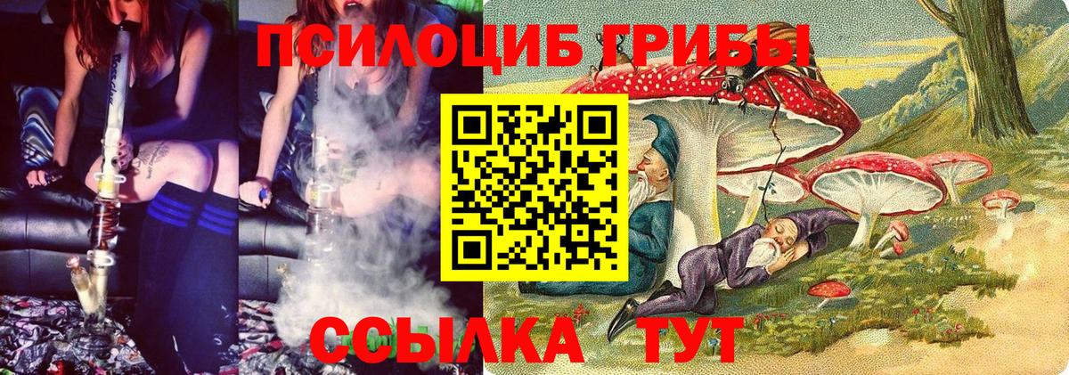 Псилоцибиновые грибы прущие грибы Комсомольск-на-Амуре